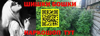 ALPHA-PVP Партизанск