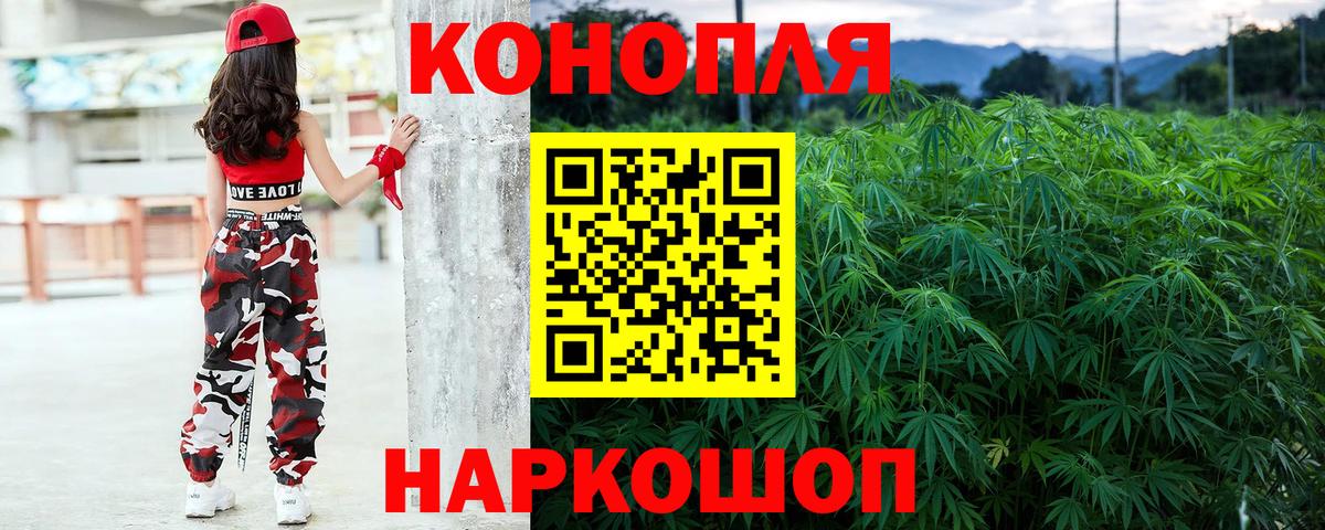 Канабис сатива  Бошки марихуана LSD WEED  Прохладный  Вход с VPN 